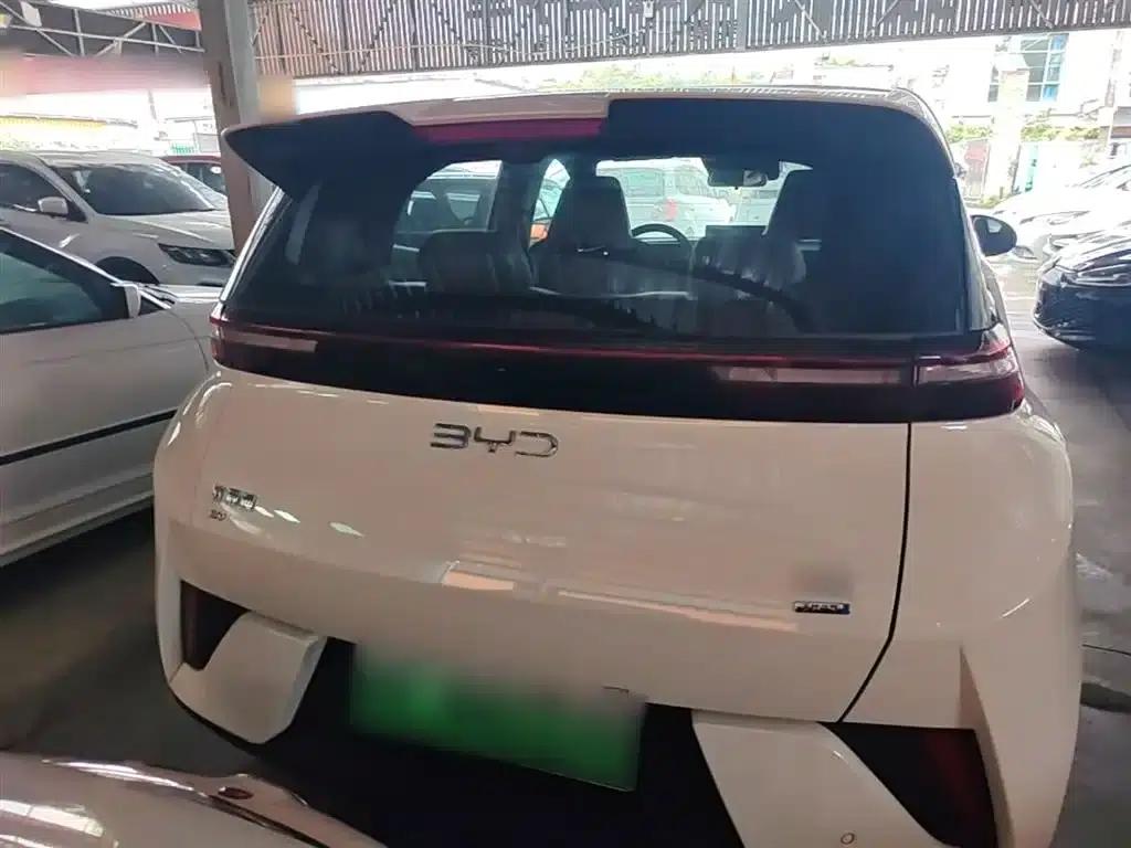 Seagull 2025 Smart Driving Edition 305km Freedom Edition — миниатюра 6