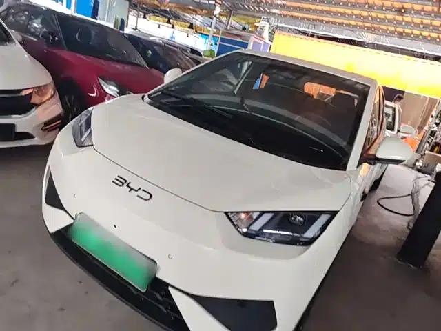 Seagull 2025 Smart Driving Edition 305km Freedom Edition