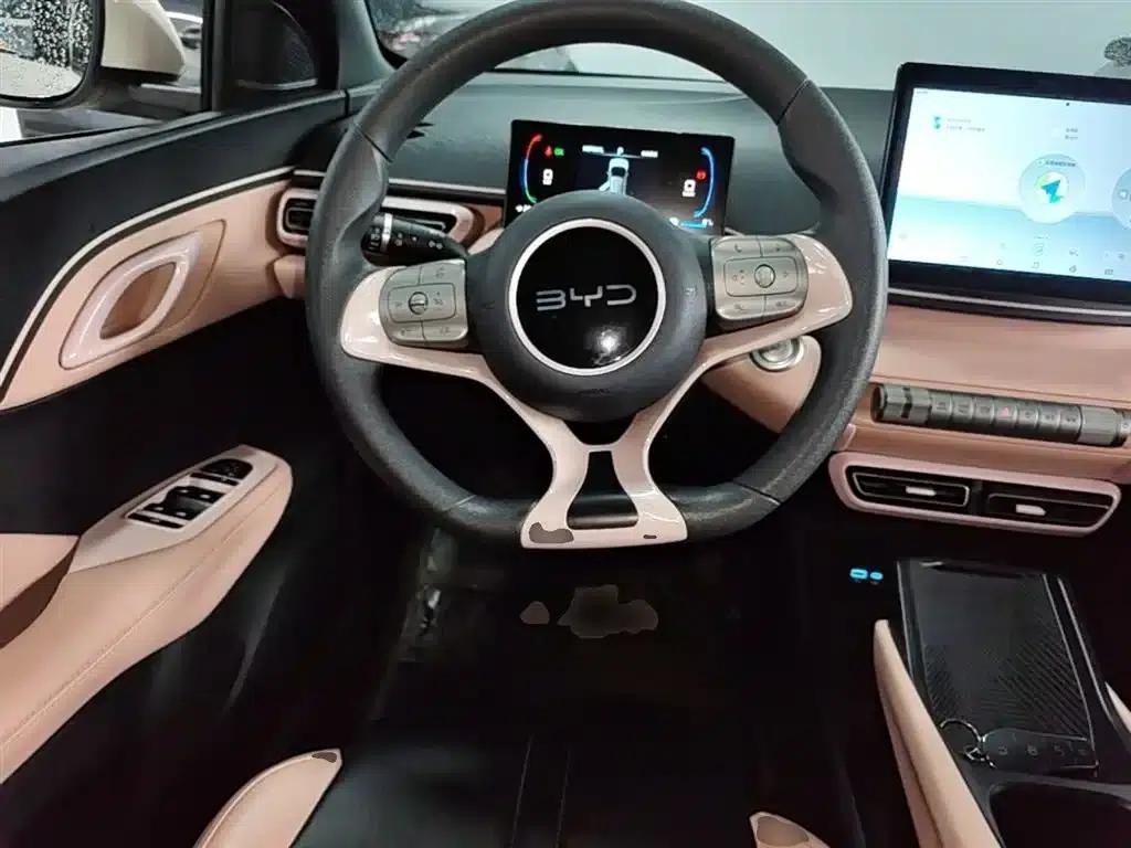 Seagull 2025 305km/h Dynamic Edition — миниатюра 11