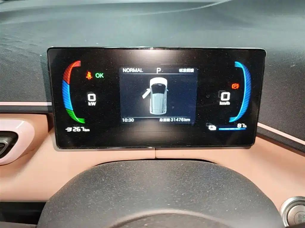 Seagull 2025 305km/h Dynamic Edition — миниатюра 12