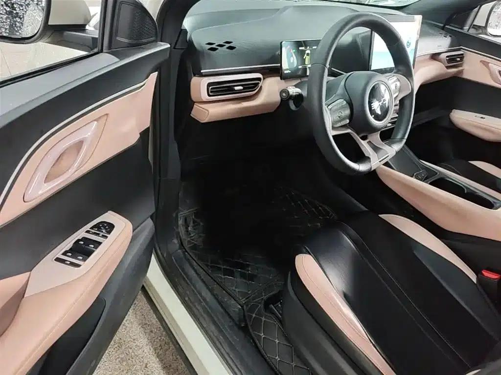 Seagull 2025 305km/h Dynamic Edition — миниатюра 16