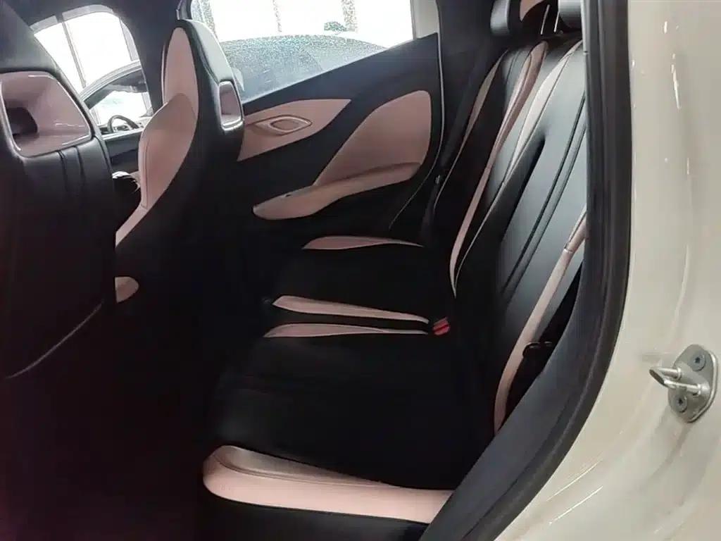 Seagull 2025 305km/h Dynamic Edition — миниатюра 17