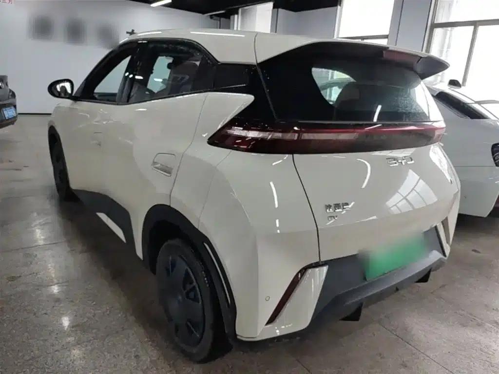 Seagull 2025 305km/h Dynamic Edition — миниатюра 5
