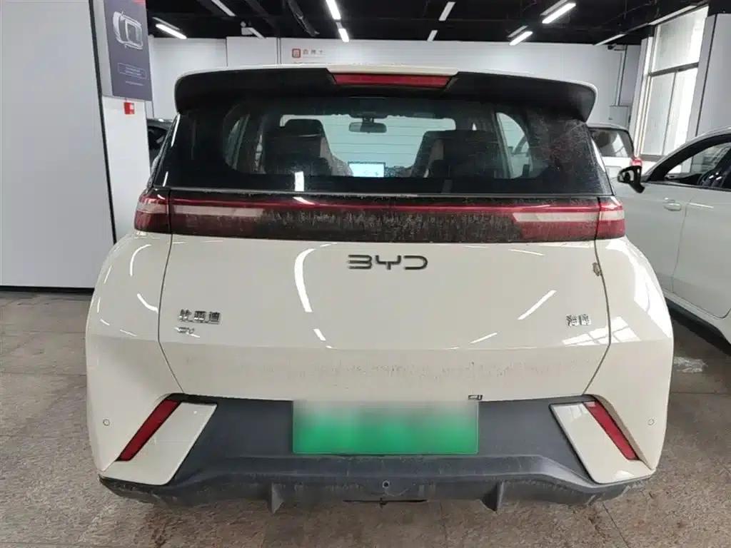 Seagull 2025 305km/h Dynamic Edition — миниатюра 6