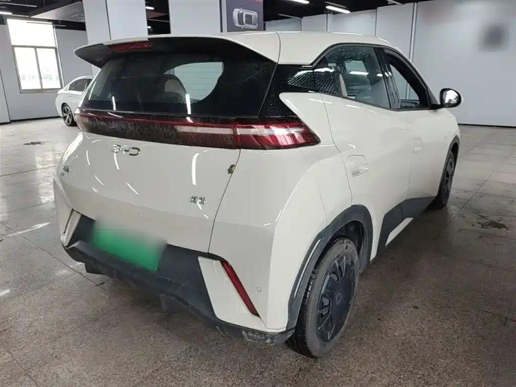 Seagull 2025 305km/h Dynamic Edition — миниатюра 7