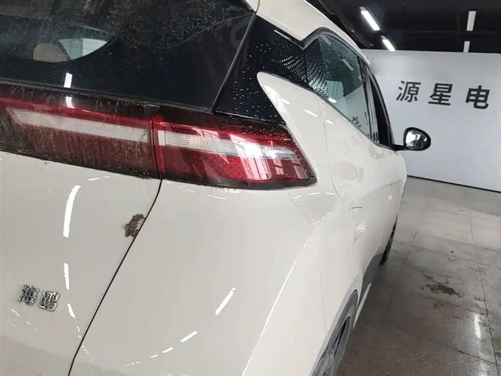 Seagull 2025 305km/h Dynamic Edition — миниатюра 8
