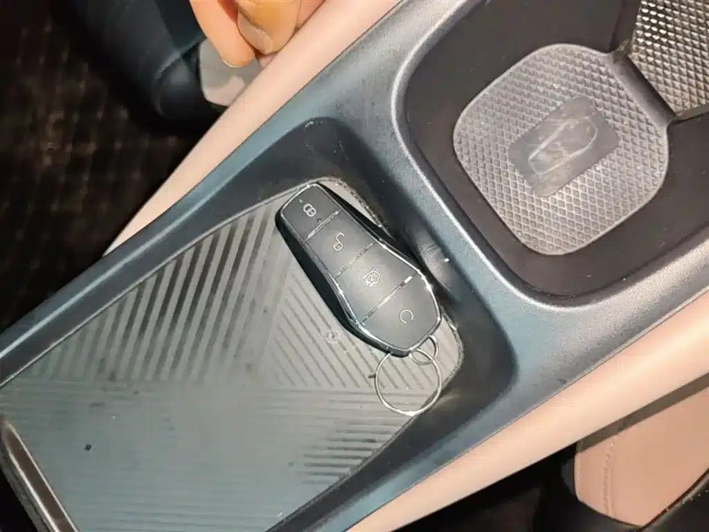 Seagull 2025 305km/h Dynamic Edition — миниатюра 9