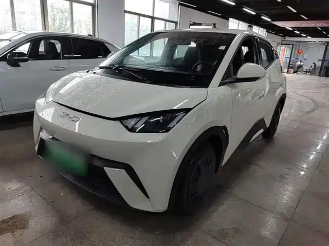 Seagull 2025 305km/h Dynamic Edition