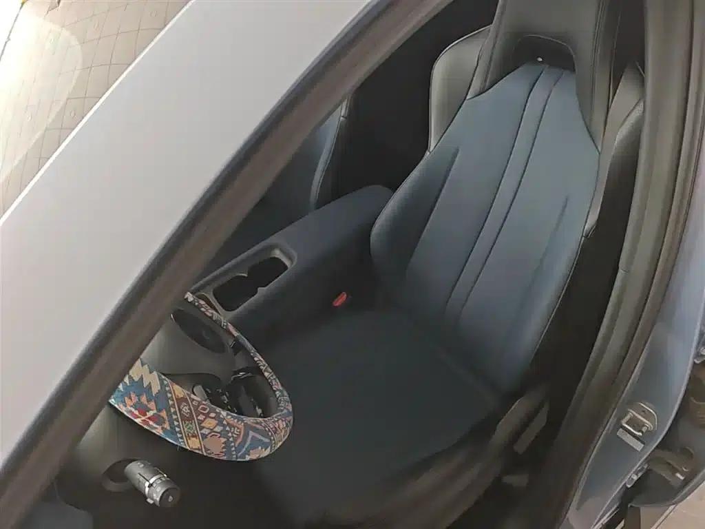 Seagull 2024 Glory Edition 305km/h Vitality Edition — миниатюра 15