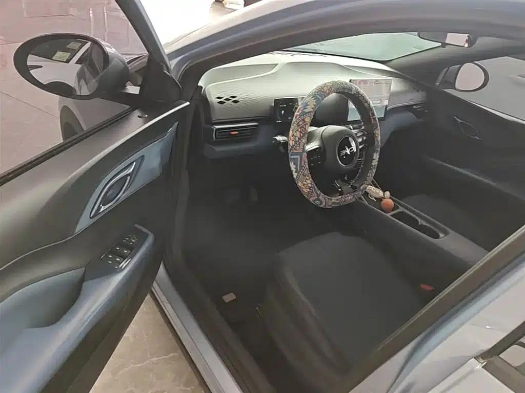 Seagull 2024 Glory Edition 305km/h Vitality Edition — миниатюра 16