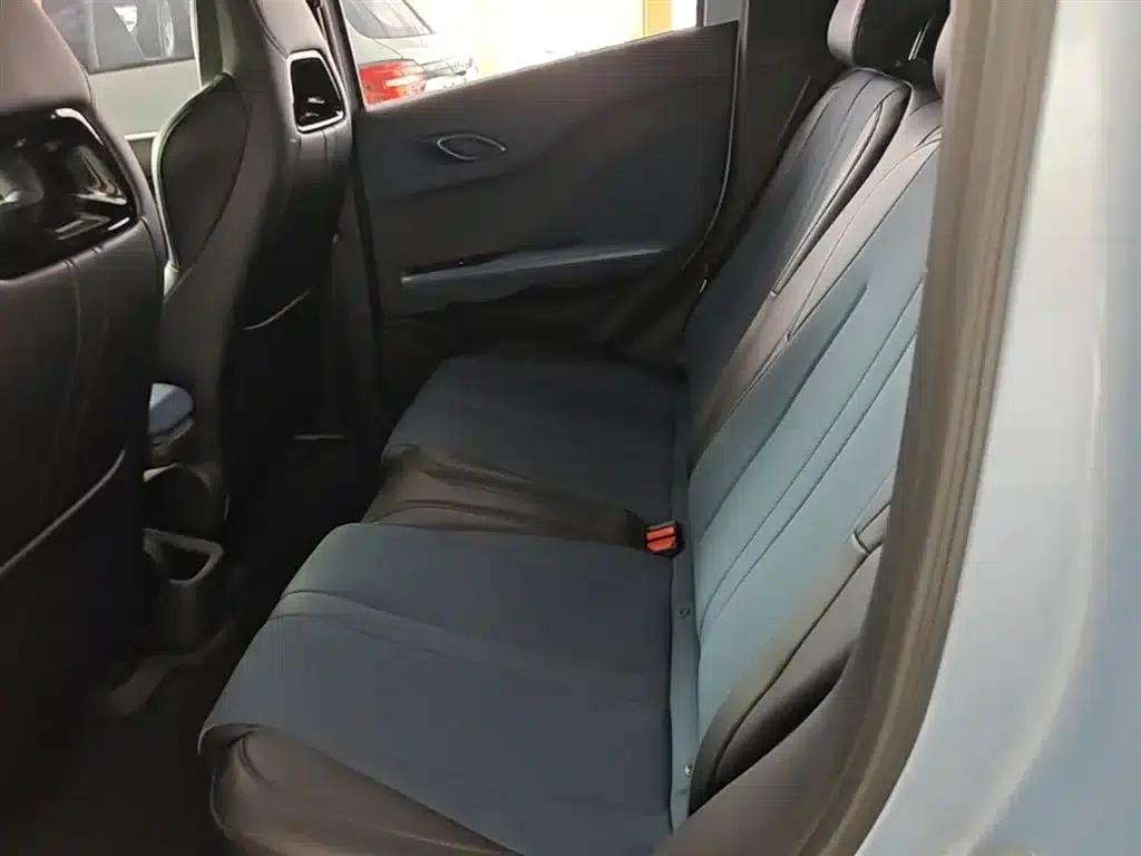 Seagull 2024 Glory Edition 305km/h Vitality Edition — миниатюра 17