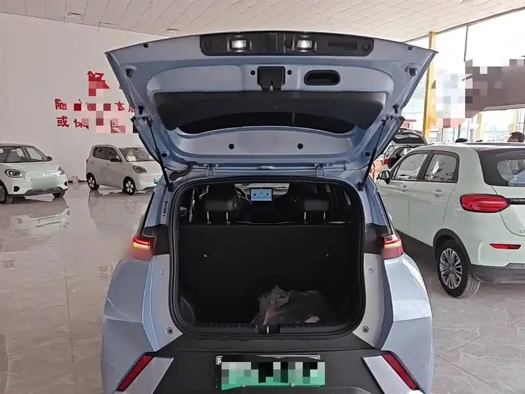 Seagull 2024 Glory Edition 305km/h Vitality Edition — миниатюра 19