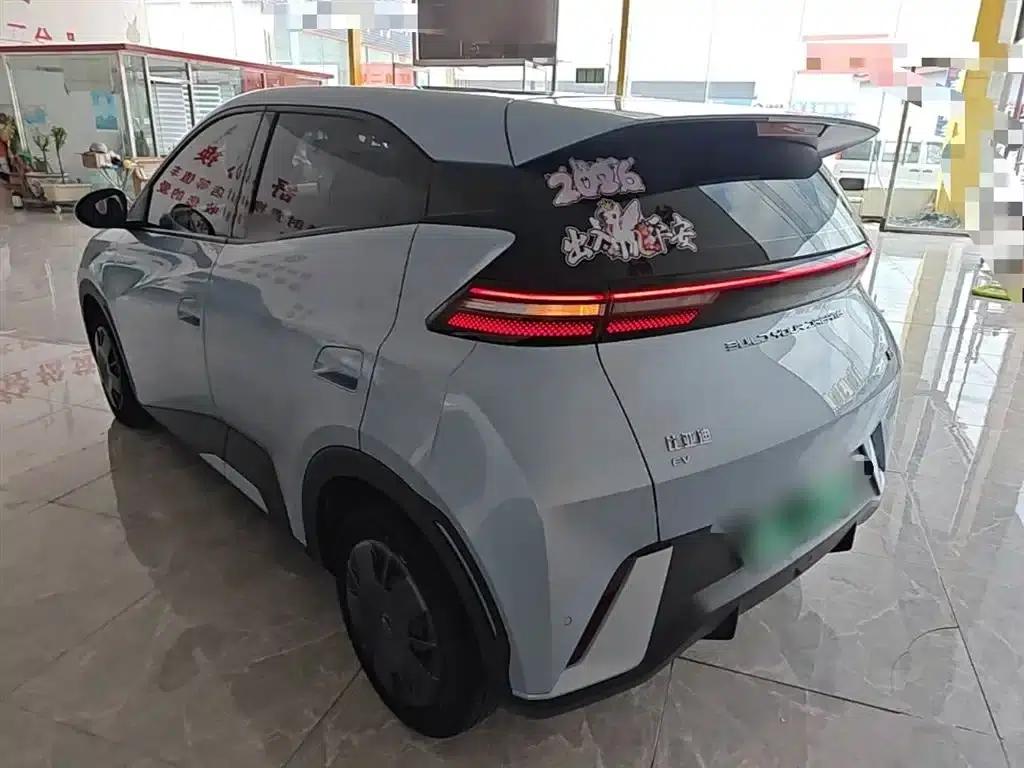 Seagull 2024 Glory Edition 305km/h Vitality Edition — миниатюра 5