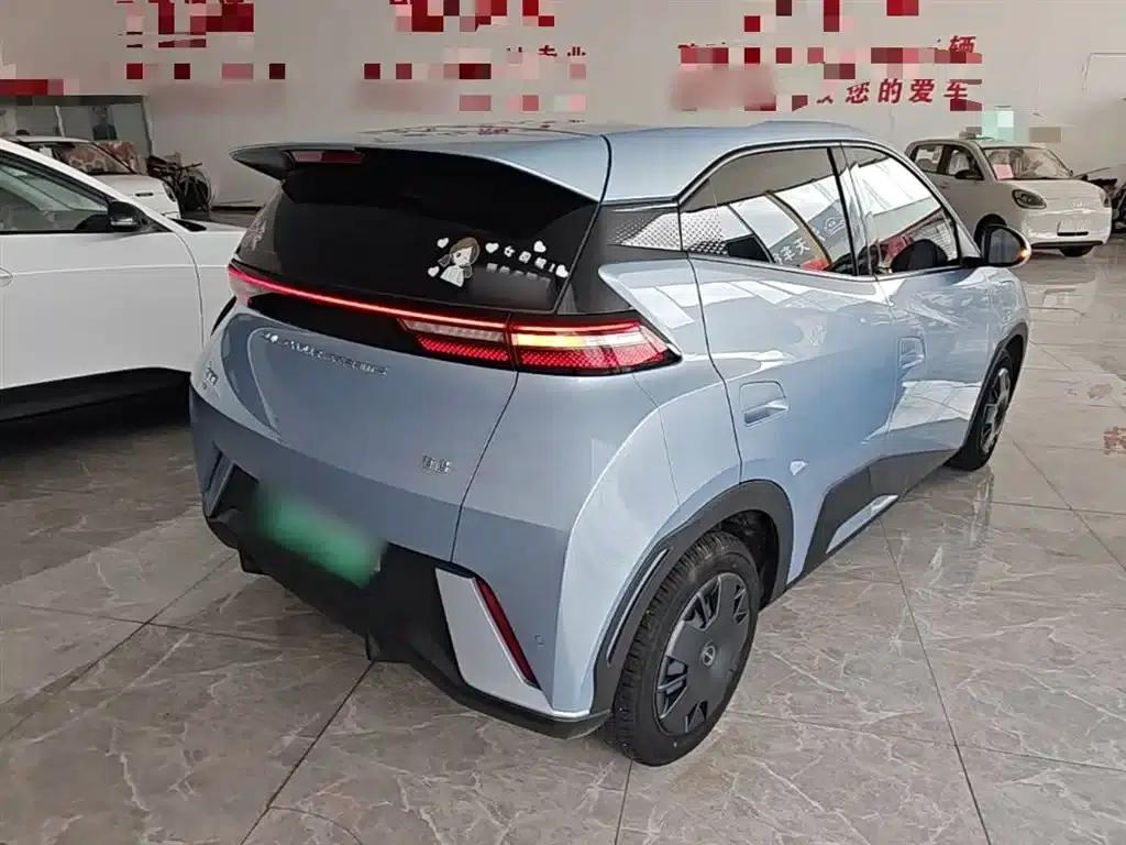 Seagull 2024 Glory Edition 305km/h Vitality Edition — миниатюра 7