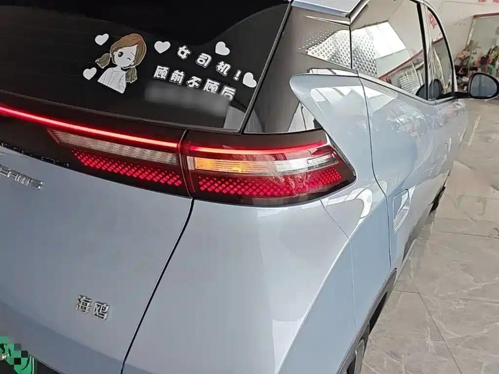 Seagull 2024 Glory Edition 305km/h Vitality Edition — миниатюра 8