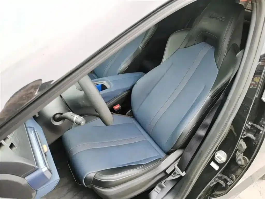 Seagull 2023 Vitality Edition — миниатюра 15