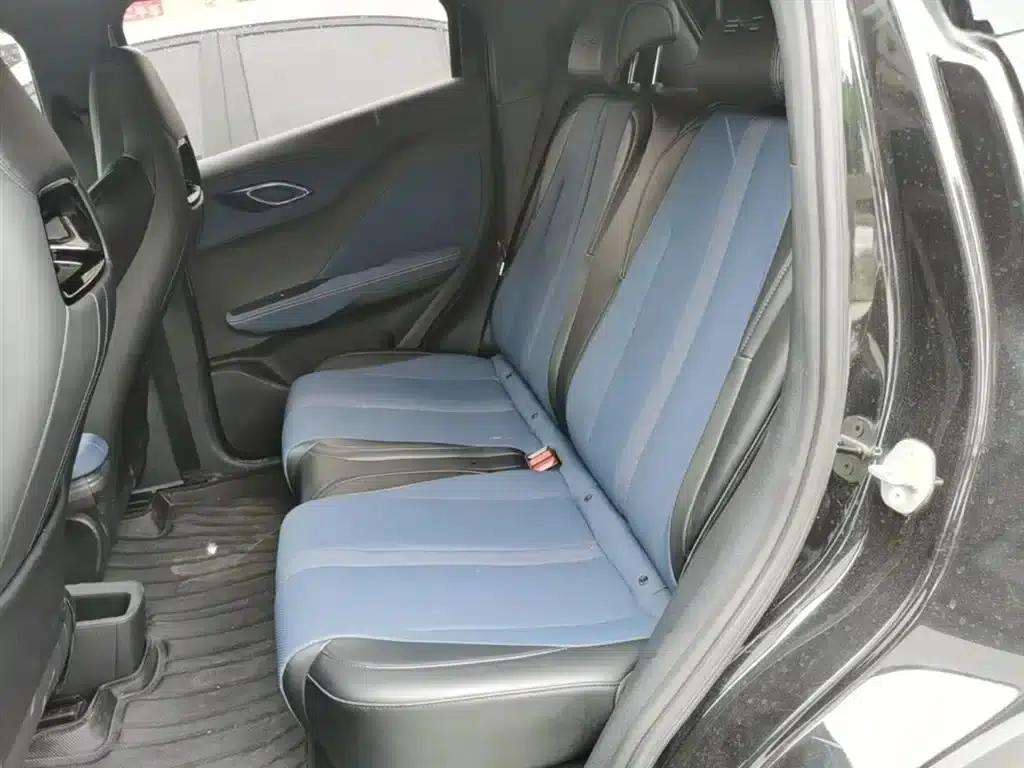 Seagull 2023 Vitality Edition — миниатюра 17