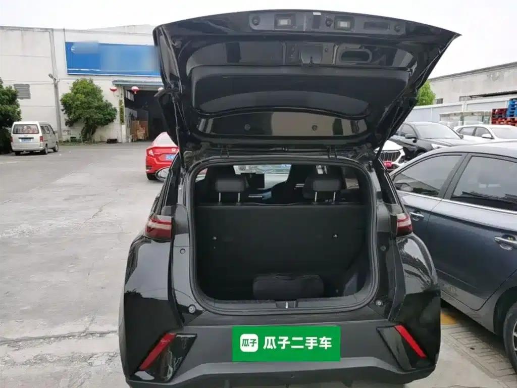 Seagull 2023 Vitality Edition — миниатюра 19