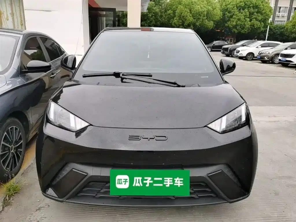 Seagull 2023 Vitality Edition — миниатюра 3