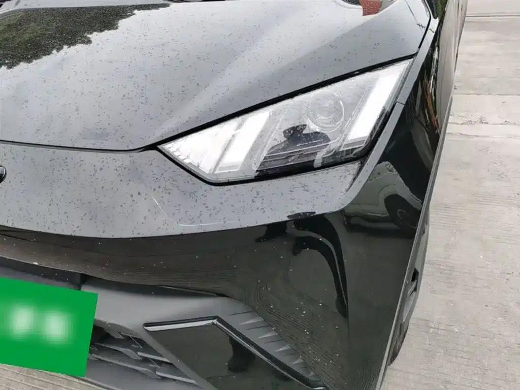 Seagull 2023 Vitality Edition — миниатюра 24