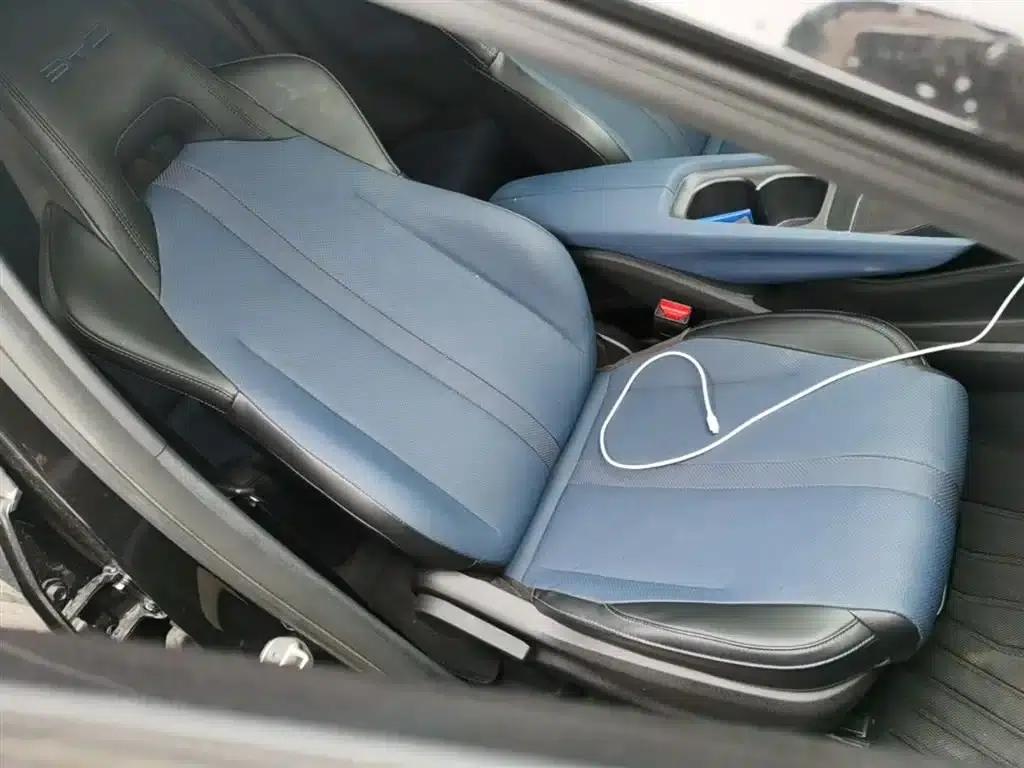 Seagull 2023 Vitality Edition — миниатюра 25