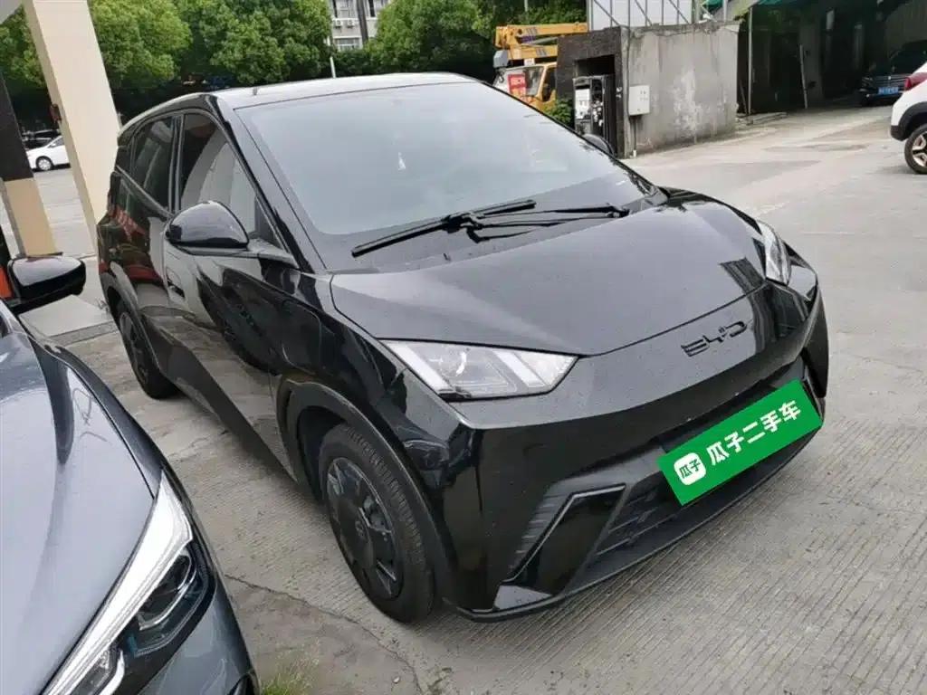 Seagull 2023 Vitality Edition — миниатюра 4