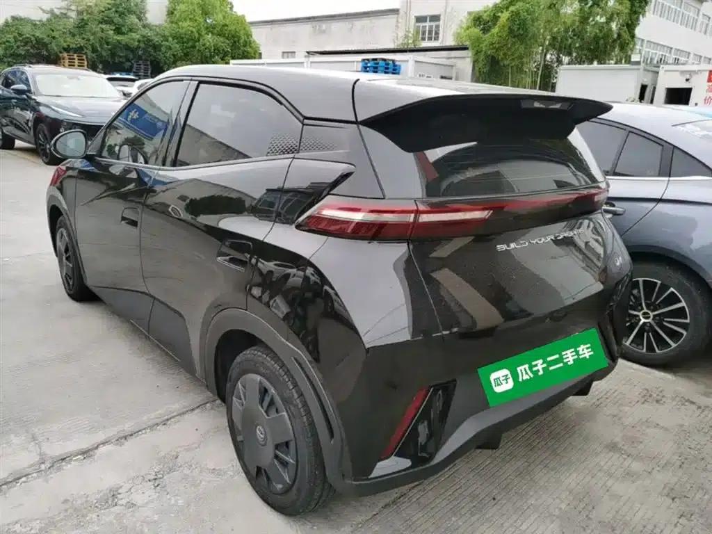 Seagull 2023 Vitality Edition — миниатюра 5