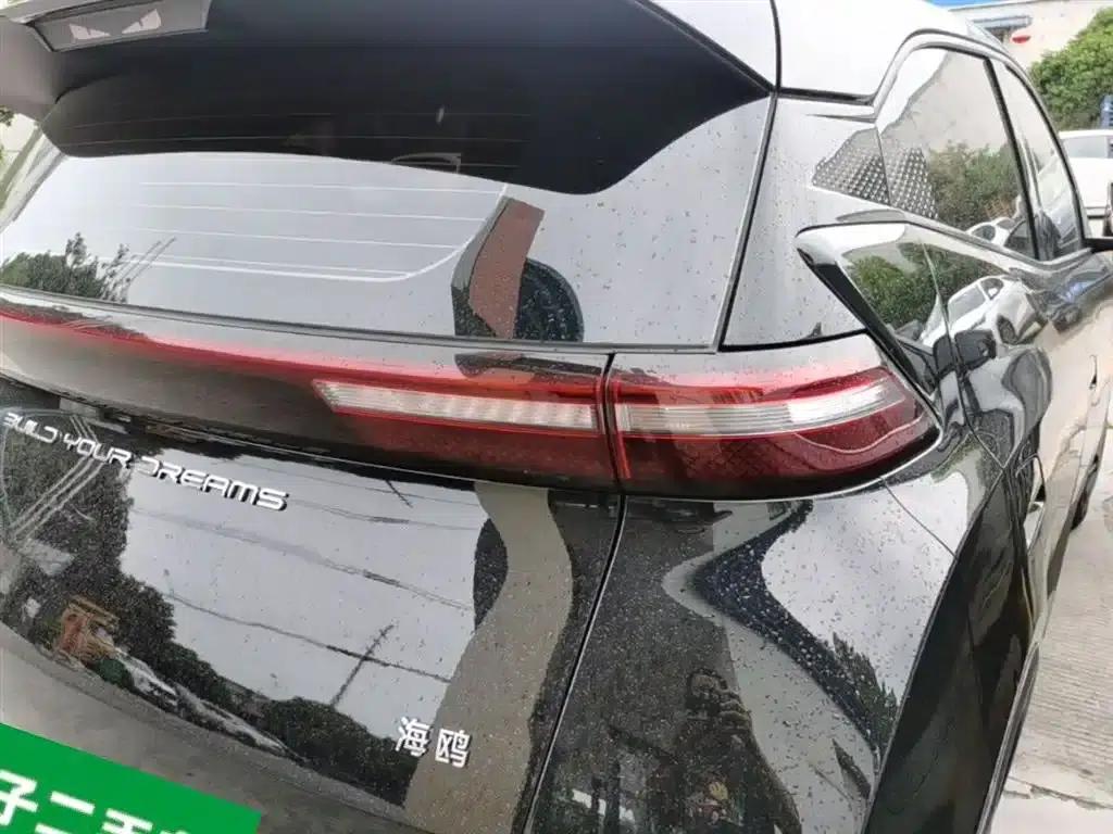 Seagull 2023 Vitality Edition — миниатюра 8
