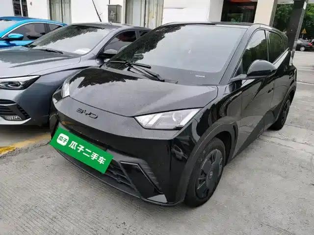 Seagull 2023 Vitality Edition