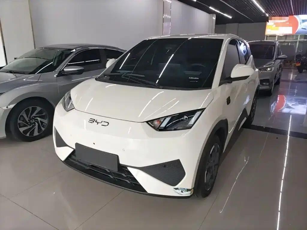 Seagull 2025 Smart Driving Edition 305km Freedom Edition — миниатюра 2