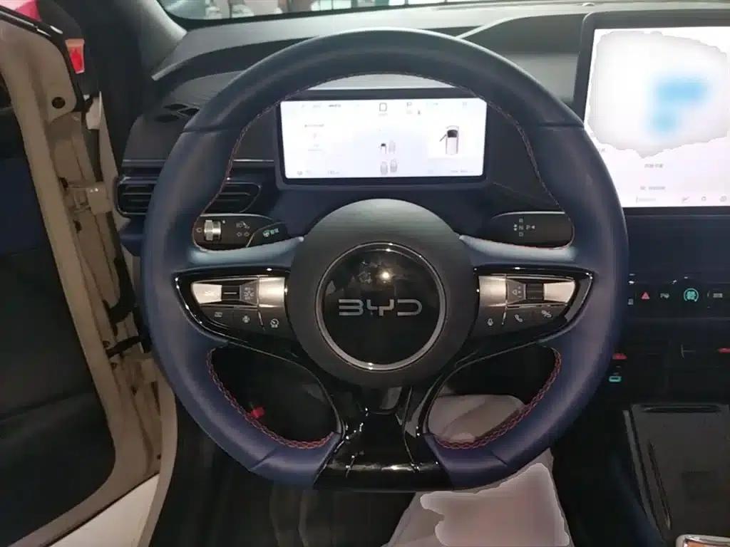 Seagull 2025 Smart Driving Edition 305km Freedom Edition — миниатюра 11