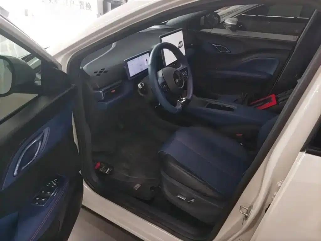 Seagull 2025 Smart Driving Edition 305km Freedom Edition — миниатюра 16