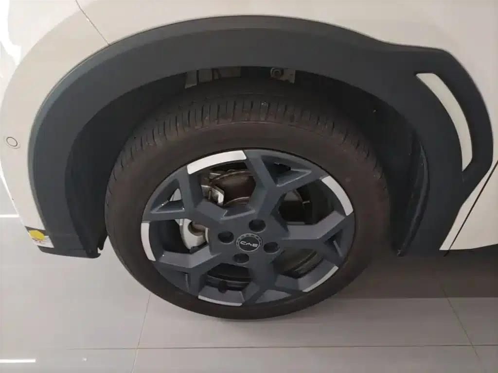 Seagull 2025 Smart Driving Edition 305km Freedom Edition — миниатюра 23
