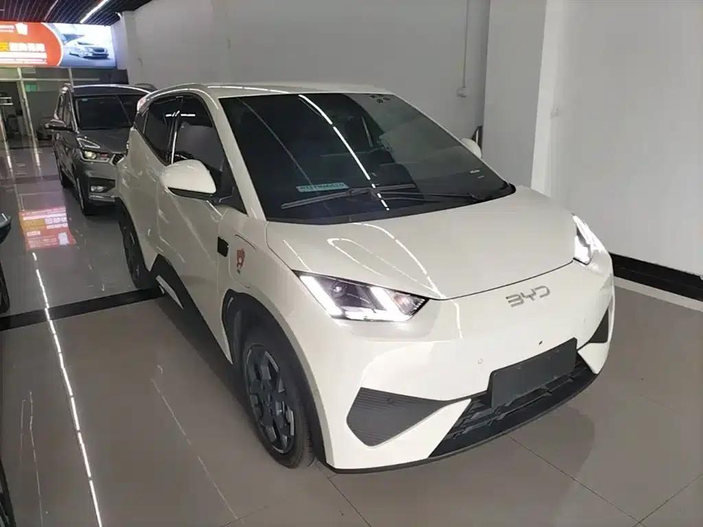 Seagull 2025 Smart Driving Edition 305km Freedom Edition — миниатюра 4
