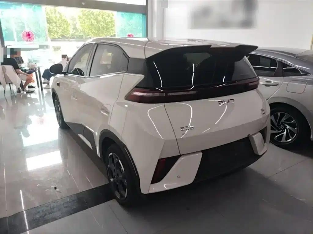 Seagull 2025 Smart Driving Edition 305km Freedom Edition — миниатюра 5