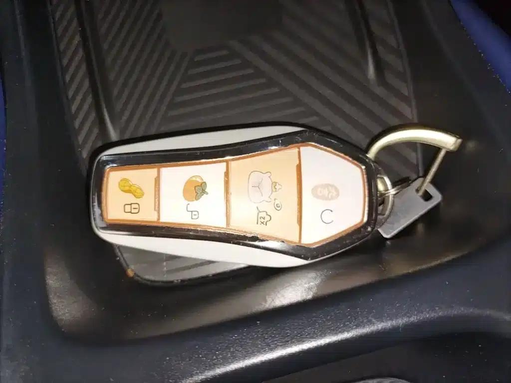 Seagull 2025 Smart Driving Edition 305km Freedom Edition — миниатюра 9