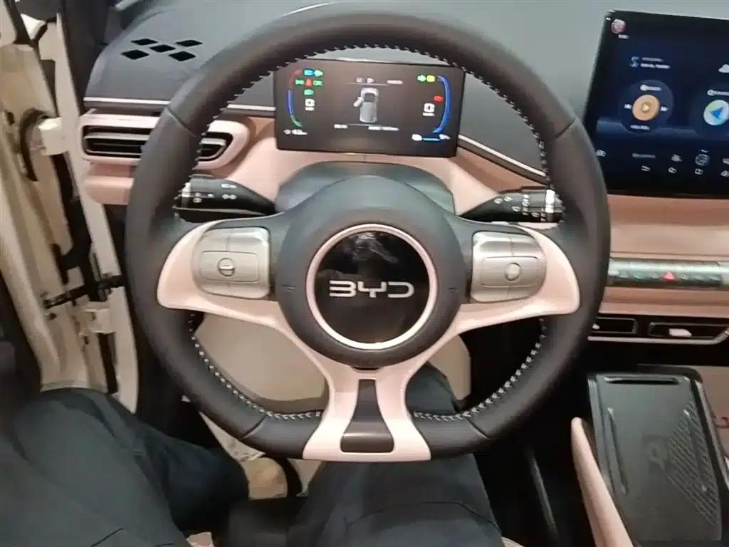 Seagull 2025 305km Freedom Edition — миниатюра 11