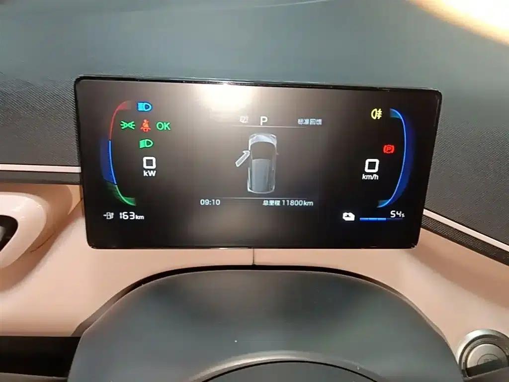 Seagull 2025 305km Freedom Edition — миниатюра 12