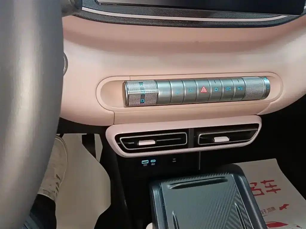 Seagull 2025 305km Freedom Edition — миниатюра 14