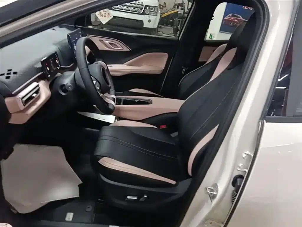 Seagull 2025 305km Freedom Edition — миниатюра 15