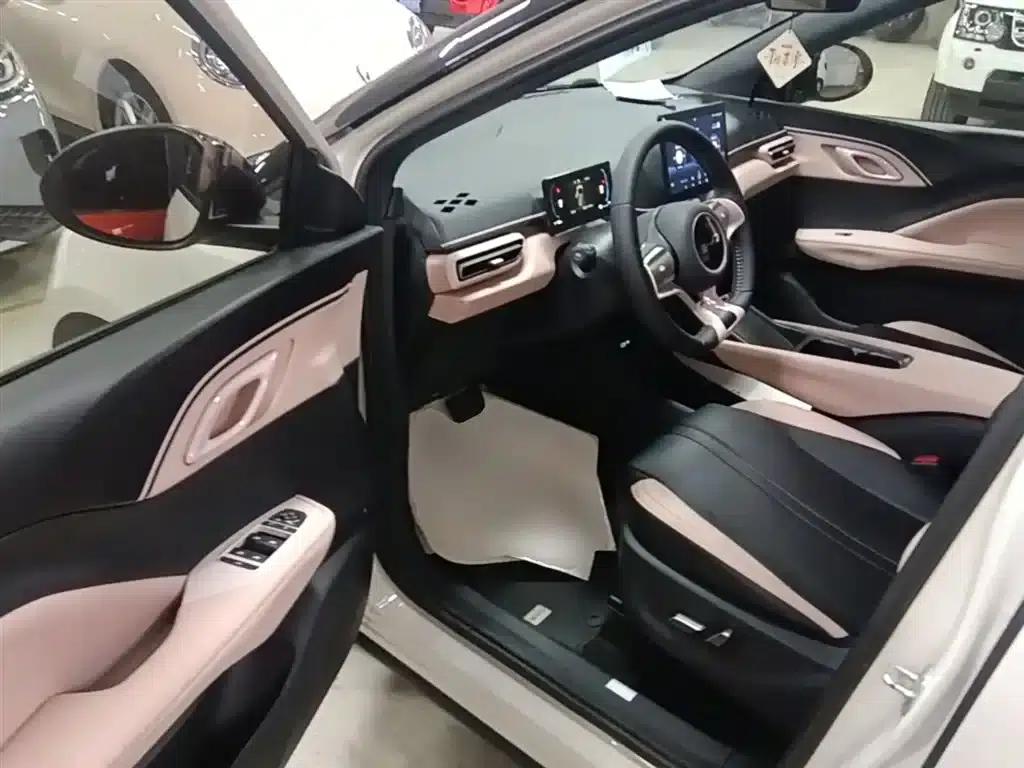 Seagull 2025 305km Freedom Edition — миниатюра 16
