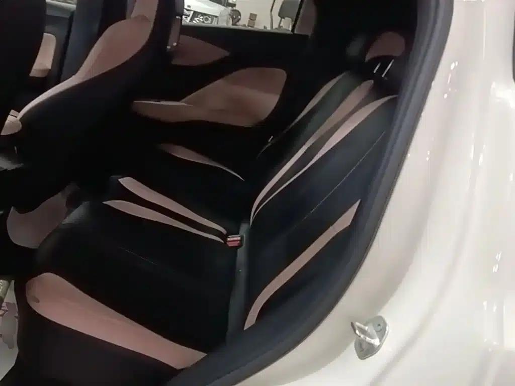 Seagull 2025 305km Freedom Edition — миниатюра 17