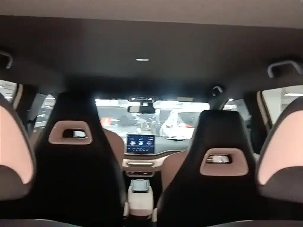 Seagull 2025 305km Freedom Edition — миниатюра 18