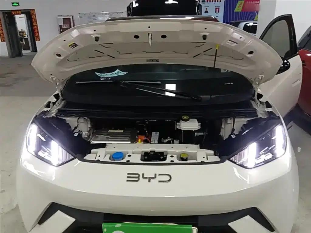 Seagull 2025 305km Freedom Edition — миниатюра 20