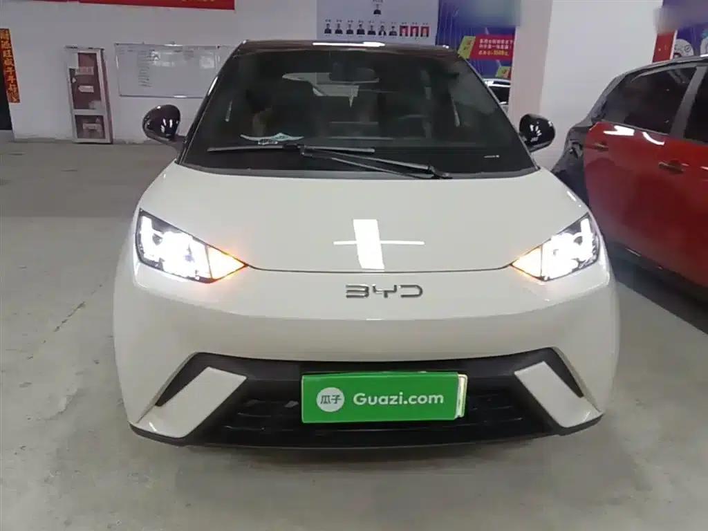 Seagull 2025 305km Freedom Edition — миниатюра 3