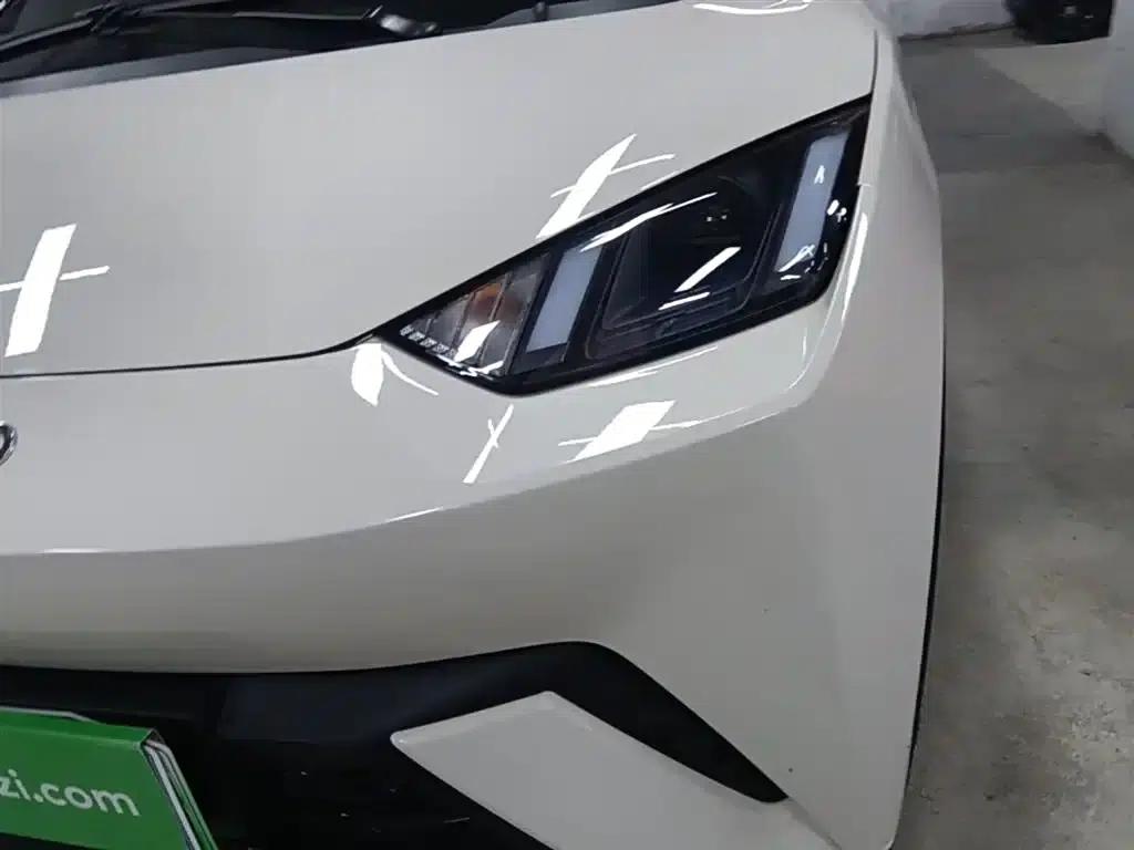 Seagull 2025 305km Freedom Edition — миниатюра 24