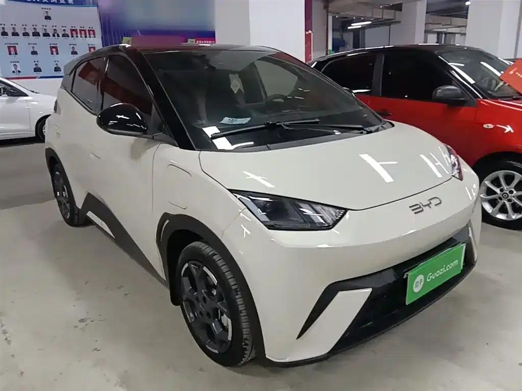 Seagull 2025 305km Freedom Edition — миниатюра 4