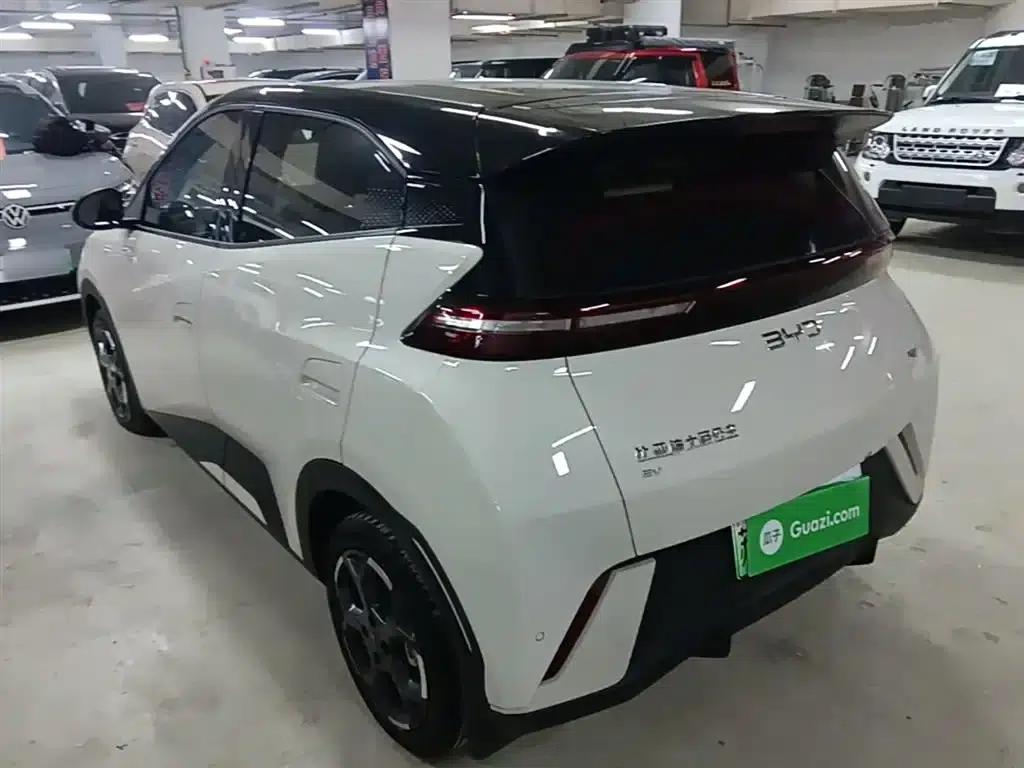 Seagull 2025 305km Freedom Edition — миниатюра 5