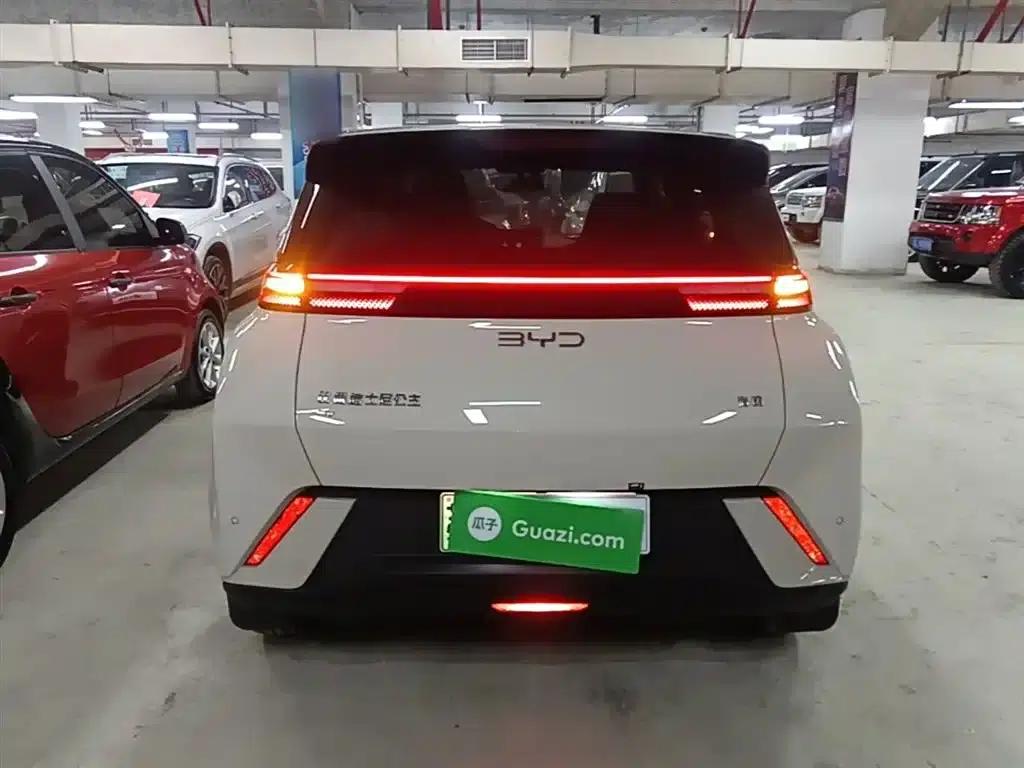 Seagull 2025 305km Freedom Edition — миниатюра 6