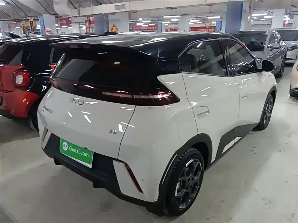 Seagull 2025 305km Freedom Edition — миниатюра 7